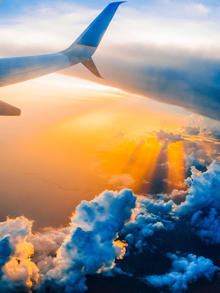 Immigration_Abror Law Chambers